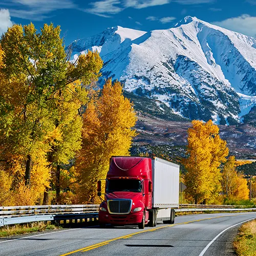 Umzug Zürich teklif alma süreci